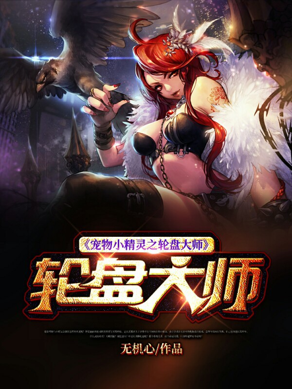 宠物小精灵之轮盘大师